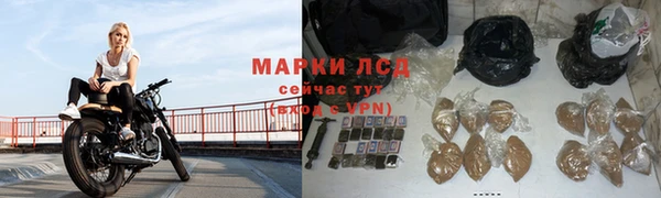 твердый Богданович
