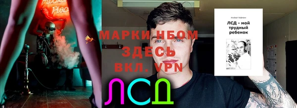 твердый Богданович