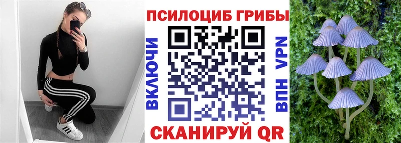 Галлюциногенные грибы Magic Shrooms  дарнет шоп  сайты даркнета официальный сайт  Шахунья 